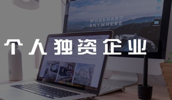 个人独自企业