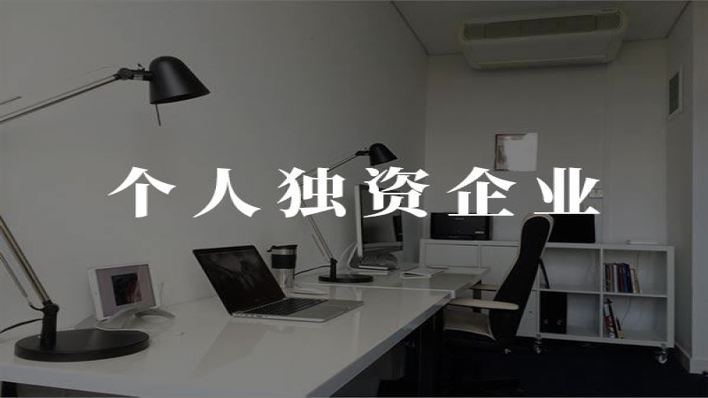 个人独资企业