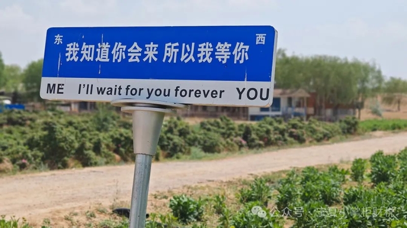 小掌柜财务员工欢聚薰衣草庄园，共享团队拓展之旅